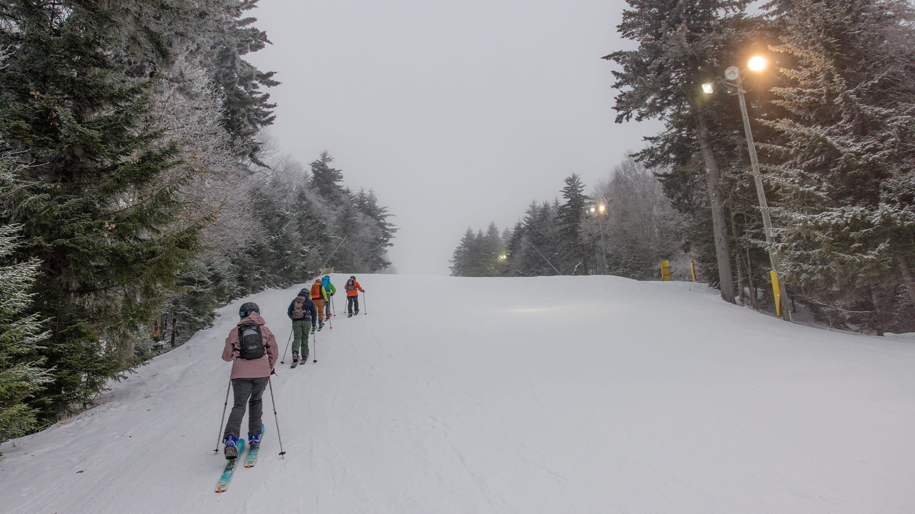 Skiing Under The Moonlight