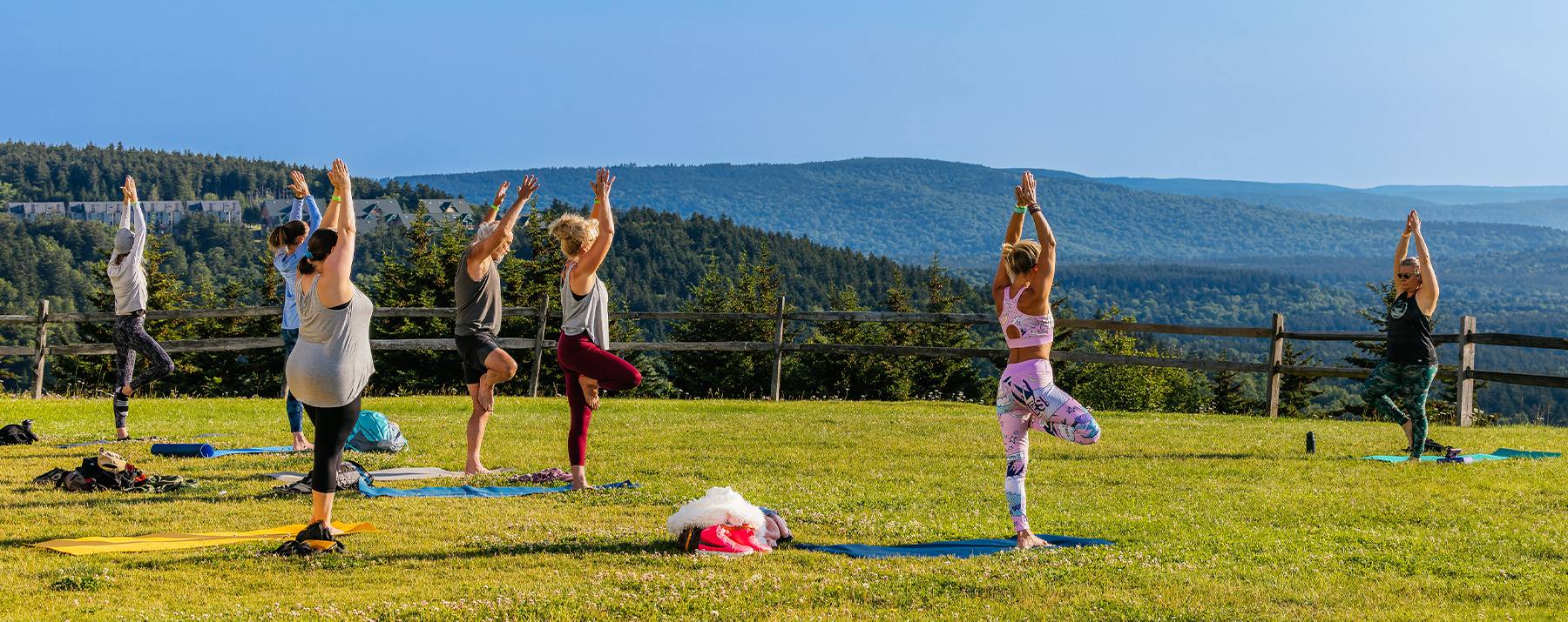 Yoga Power Retreat at Snowshoe Mountain