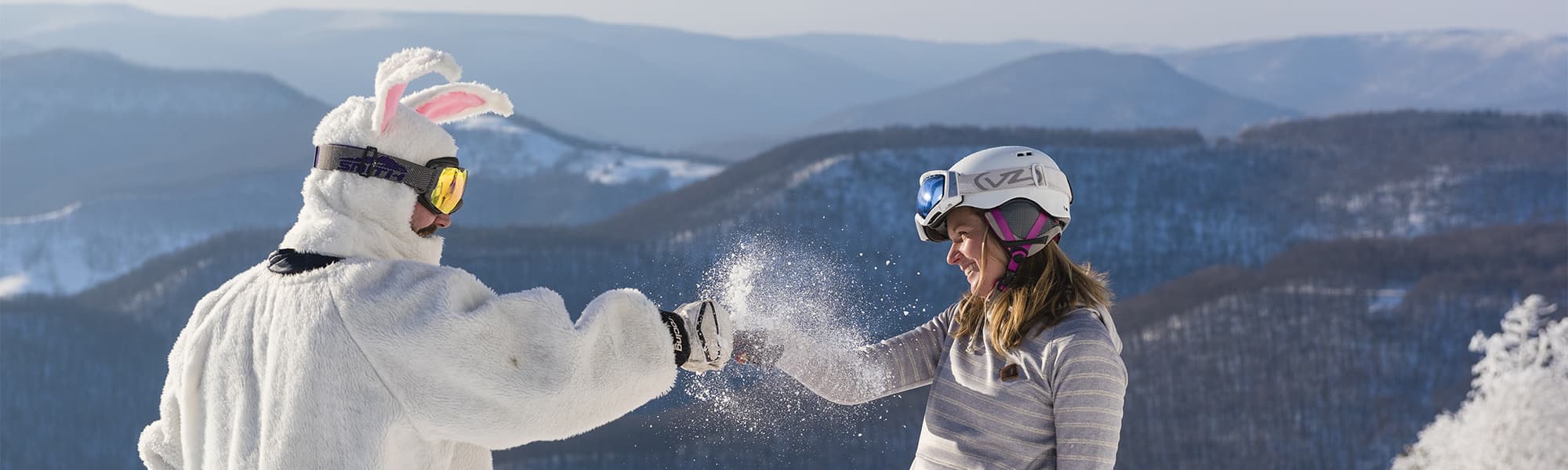 Snowshoe Bunny