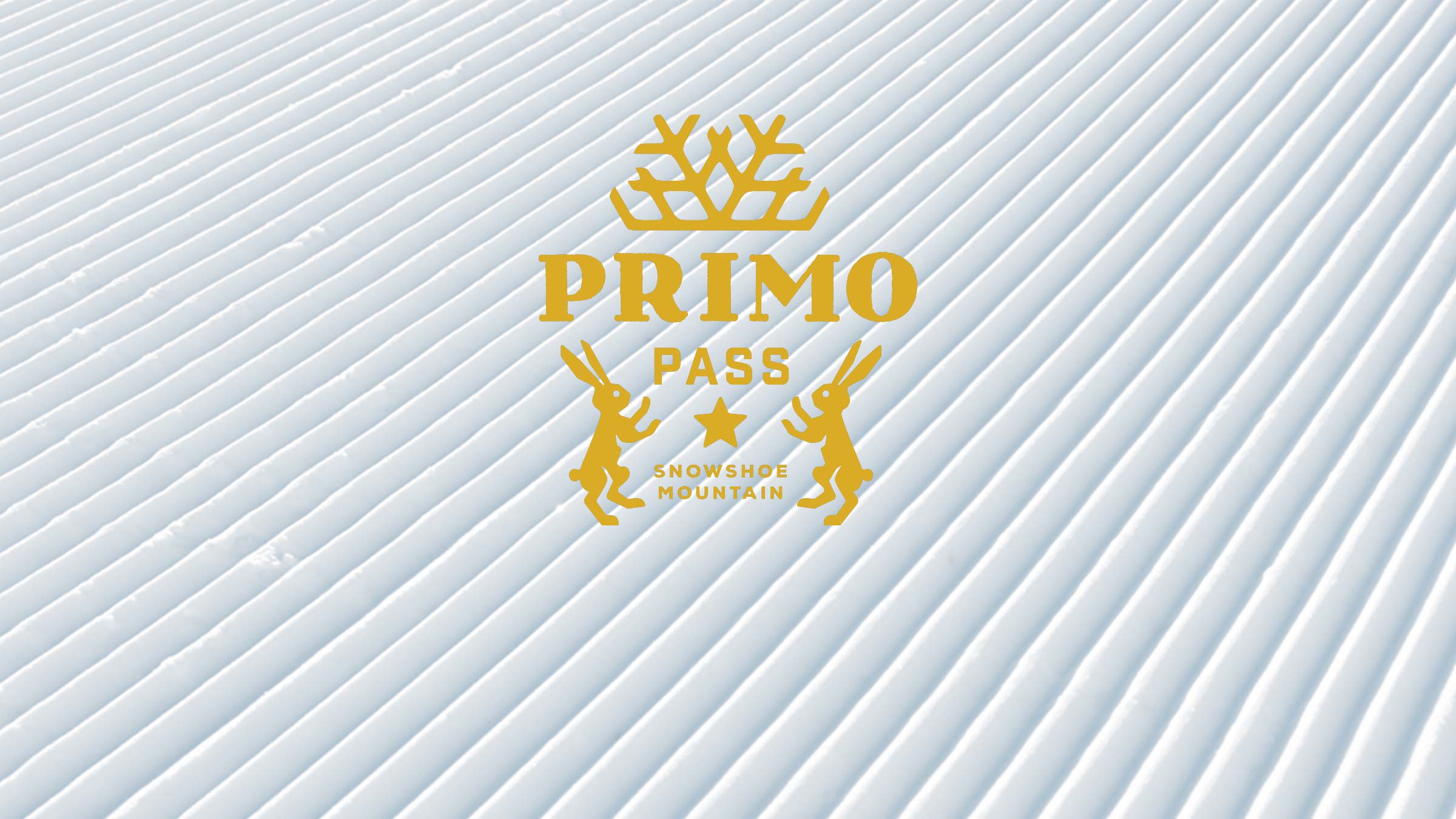 Primo Pass