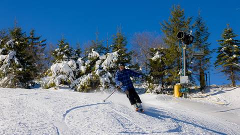 Skiing Snowshoe on a blue bird day