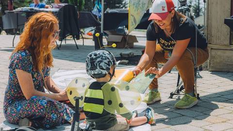 Bee City USA Festival | Snowshoe Mountain