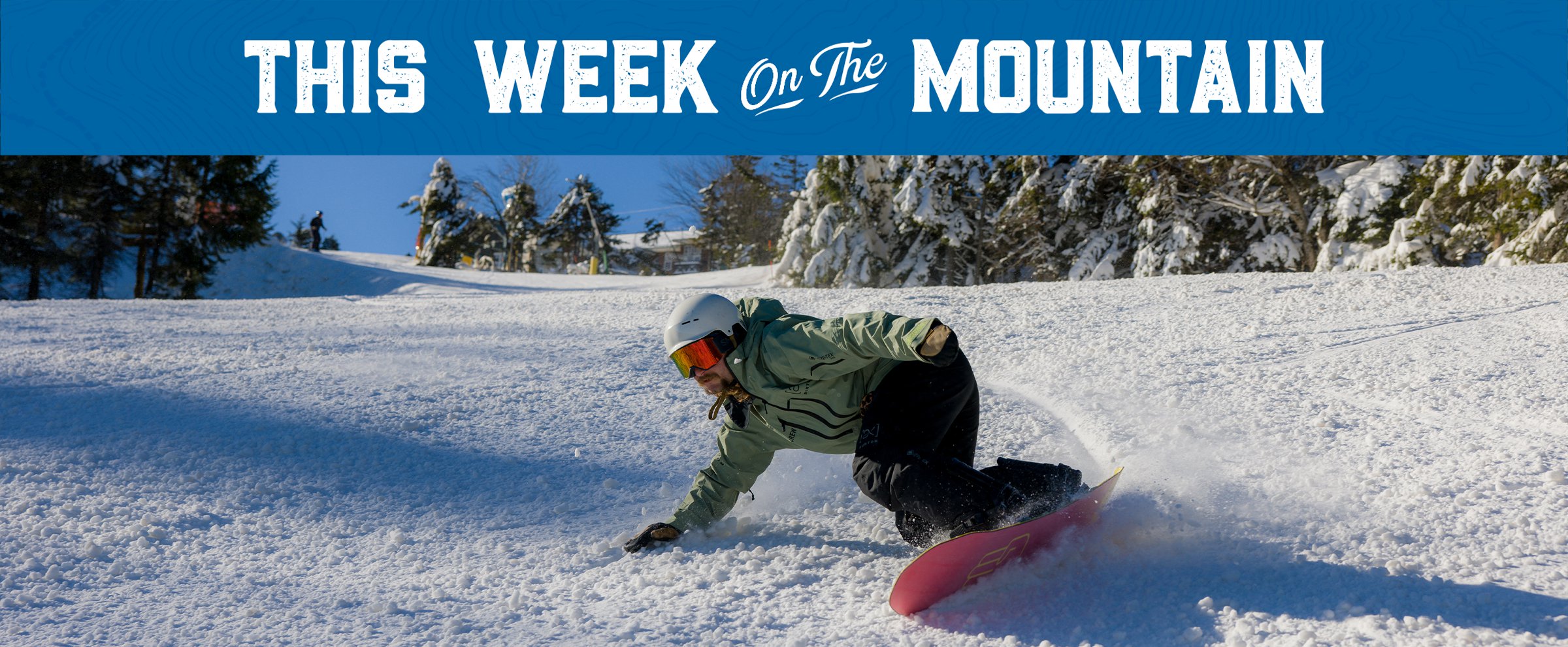 This week on the mountain